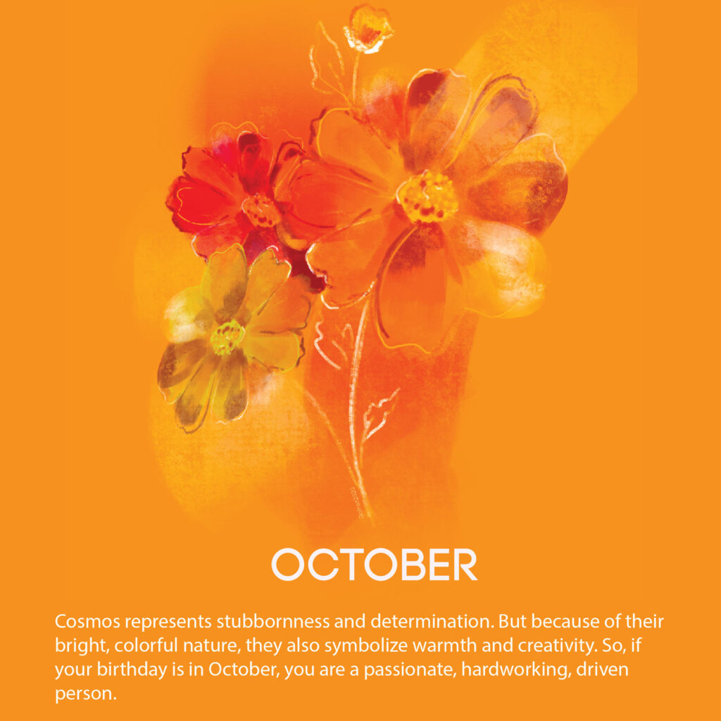 Each month of the year is associated with a flower, a mood, and a meaning.
This 12-part illustrated series was created to celebrate the deep symbolism of birth flowers and the personality traits often linked with each.